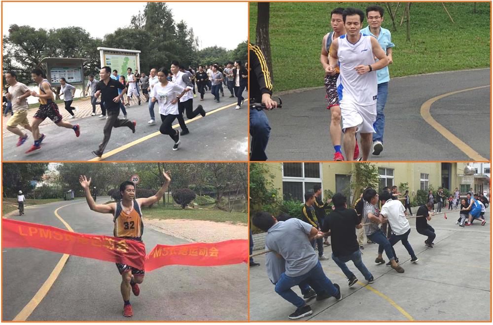 1543219163957920.jpg 1543219163957920.jpg